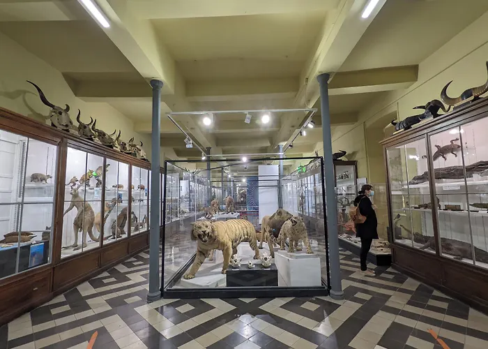 Le Grand Dieu By Sowell Collection 5*